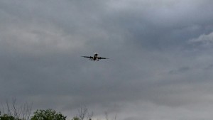 航空公園飛行機来た