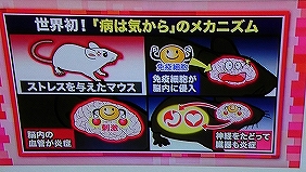 テレビ「病は気から」